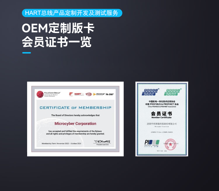 HART 總線產(chǎn)品定制開發(fā)及測試服務(wù).png